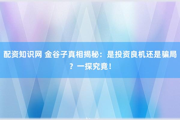 配資知識網(wǎng) 金谷子真相揭秘：是投資良機還是騙局？一探究竟！