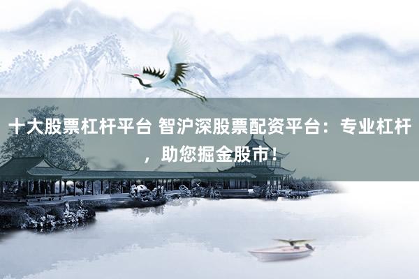 十大股票杠桿平臺(tái) 智滬深股票配資平臺(tái)：專業(yè)杠桿，助您掘金股市！