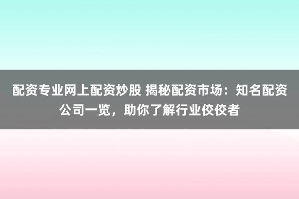 配資專業(yè)網(wǎng)上配資炒股 揭秘配資市場：知名配資公司一覽，助你了解行業(yè)佼佼者