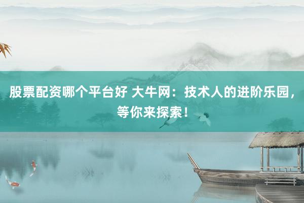 股票配資哪個平臺好 大牛網(wǎng)：技術(shù)人的進(jìn)階樂園，等你來探索！