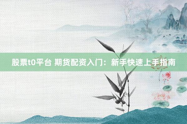 股票t0平臺(tái) 期貨配資入門：新手快速上手指南
